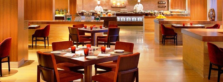 595/Radisson Blu Plaza Hotel Hyderabad Banjara Hills - Hyderabad 05.jpg